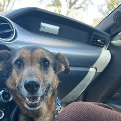 Quietflick's profile picture. 20 | @VaricksFPS