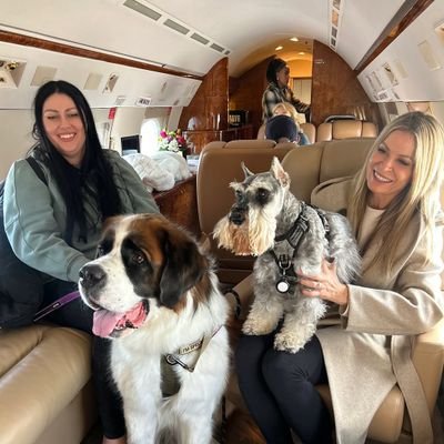 OrinJuJu01's profile picture. Hey guys ✋🏻 I selles Puppy 🐕🐈‍⬛🦮 all different types all puppy is available here and I do delivery in any locations so  just collect your's and DM thanks 💯