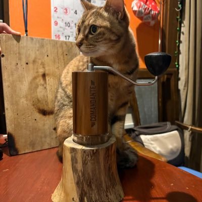 gNA0idjtgo94216's profile picture. 理系大学院生のコーヒー日記です。コーヒーはクロマトグラフィーだと思ってます。更新が途絶えたらそう言うことです。