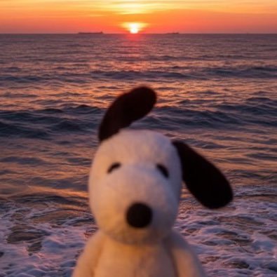 rriver46154's profile picture. ⛩️🌇