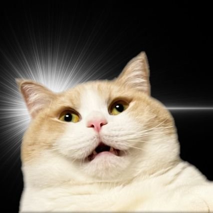 fx8uintokyo's profile picture. ドーラのような嫁の手下
カメラスマホ初心者
FindX8Ultra/X200Promini/Xiaomi14Ultra