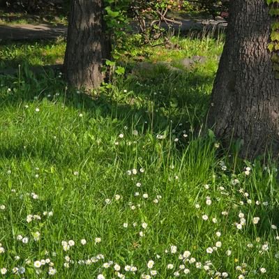 haeming02's profile picture. 