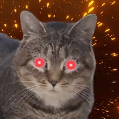 shippitti's profile picture. running b2c app plays to freedom