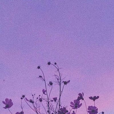 Zukiana_0's profile picture. Nass❤️🕊️