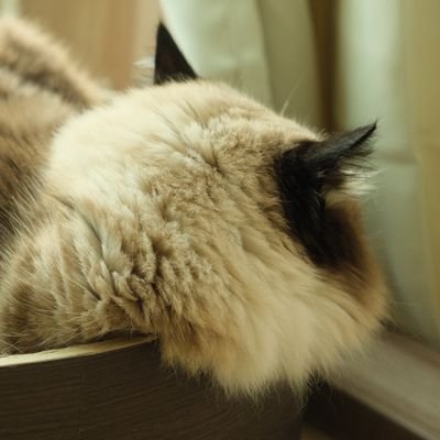 overtime_party's profile picture. 때로 내 전부를 걸고 진심으로 부딪히지 않는다면
어디가 끝인지 알 수는 없겠지