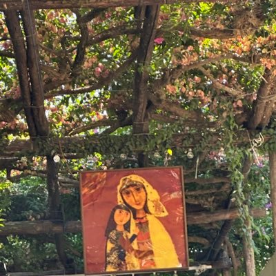 Womynhood's profile picture. An acquired taste. Radical Feminist.