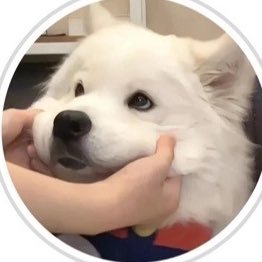 plahmo2530's profile picture. 