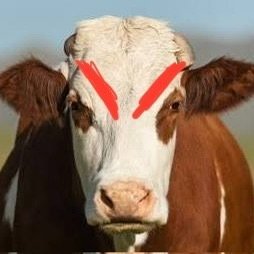 Born7weaking's profile picture. 