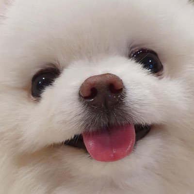 guoonn_CAN's profile picture. 𝜗𝜚@saivn_1919