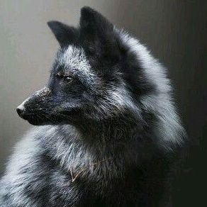 kenpaquette's profile picture. Longtime listener, first time caller. Be kind, rewind. On X to mock The Right
on https://t.co/dQtMX6i013 to block The Right