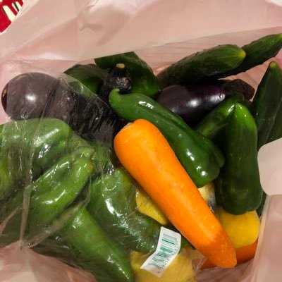 atYePJGzTiuqV5e's profile picture. 愛知住。還暦ベスティです。 95歳の母の介護しながら毎日頑張ってます。宝物のゴールデンのベス君と暮らして居ましたが202410月18日12歳8カ月で天寿をまっとうしました。寂しすぎて最近里親さんになりました BMSG丸ごと大好き❤とは言ってもジュノン君は特別です❤️＃酒豪BESTY部