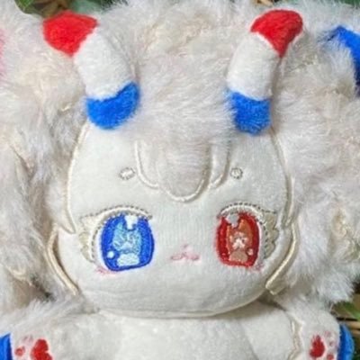 patapatanoki's profile picture. ぬいぐるみ系専用アカウントです。成人済。 私がデザインをしたぬい達は記載が無い限りお譲り可能です。DM下さい🙏ヘッダーは、くを様【@heterocyclic_kw 】にオーダーで作って頂いたうちの子たち！かあぁあいいい❣️