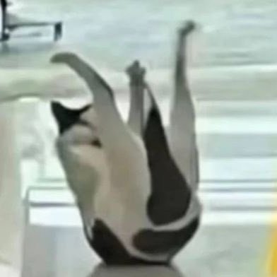 mori_kr_'s profile picture. 웃어라, 온 세상이 너와 함께 웃을 것이다. 울어라, 너 혼자 울 것이다. 『올드보이』