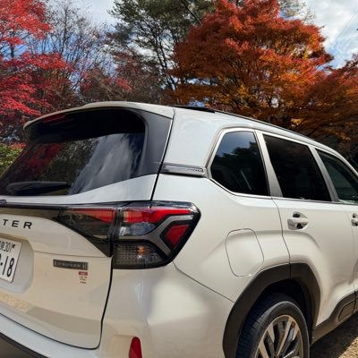 _izayoi_'s profile picture. システム設計の仕事をしてます。 車、バイクが好きで、最近はロードバイクにも乗ってます。車:フォレスター Premium、バイク: Vストローム250 SX、ロードバイク:TRECK DOMANE