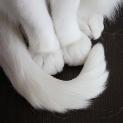 glaredsun's profile picture. 