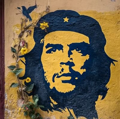 mukololowatheng's profile picture. Rainbow nation dream is dead