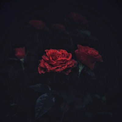 IlliterateWand1's profile picture. Interested in horror, comedy, art, and tabletop rpgs and politics.