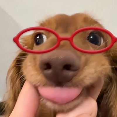 asesea_'s profile picture. unbelievable and funny