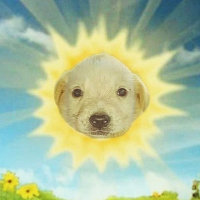 plovistas's profile picture. ?