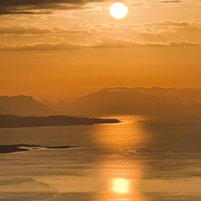 ErdalDirican1's profile picture. 