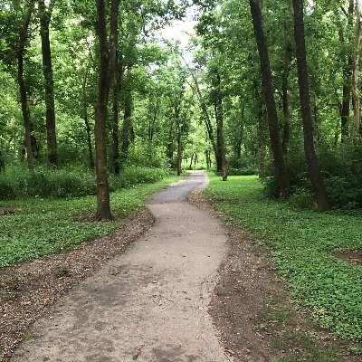 mayshimmer's profile picture. 