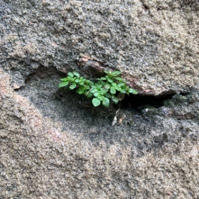 yupen222's profile picture. 