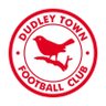 DudleyTownFC's profile picture. Official account of National League Step 5 Midland Football League Premier Division side for 2025/26, formed in 1888. 137 years of proud history. Up the Robins!