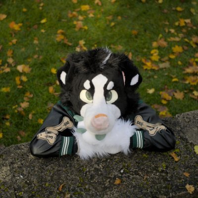 mikai_mik's profile picture. Be Punk. Be dog.

21 | He/Him