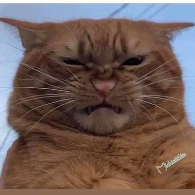 Gloriac2002's profile picture. 