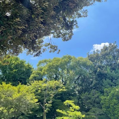 HKychem's profile picture. VIVA 化学！ Let's 勉強行為！