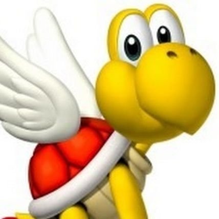 rooftopfalling's profile picture. 