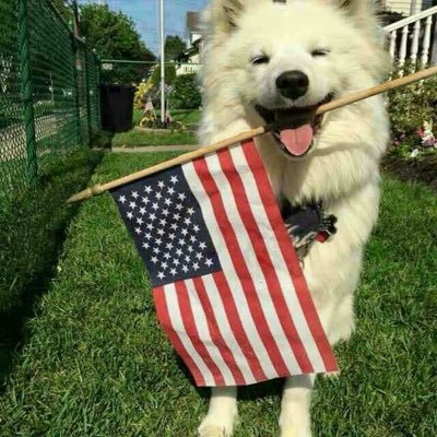 Highest_ANS's profile picture. 