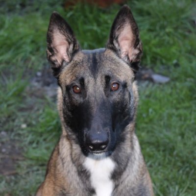 hl2dog's profile picture. 21 | pick up that can