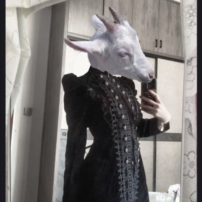 thongminhghe's profile picture. im not real. Doctorate in Applied Observational Research, specialising in longitudinal study of human interpersonal networks, & behavioural analytics