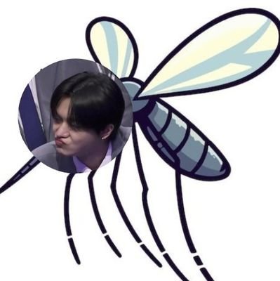 leowooontch_'s profile picture. ald1 ( protect leowon at all cost )