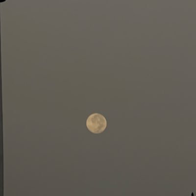 Rualmazzmi's profile picture. ✨🌸🌷🌕🌌🌄🌧️🎵