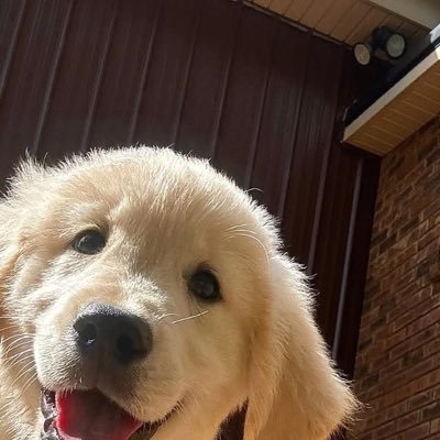 _kxhimmm_'s profile picture. 𝗪𝗜𝗡𝗡𝗬𝗦𝗔𝗧𝗔𝗡𝗚 | @samruay_GMMTV | #rv_kxhim_