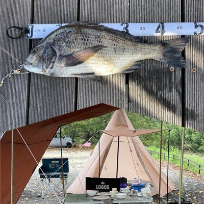 turi_tubuyaki's profile picture. 釣りとアウトドア中心垢です 主に新舞子辺りでやってます 2024年からキャンプ再開します Instagram i.hiro9397