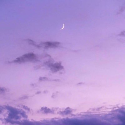 Xia_xixix's profile picture. 