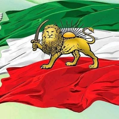 mahd_majid37687's profile picture. 