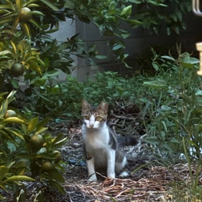 Uf4WCVELNC56657's profile picture. 