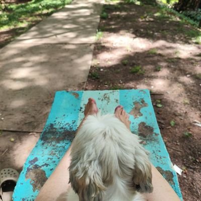 cmunueracruz's profile picture. 