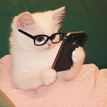 kittuu29's profile picture. litigating lawyer