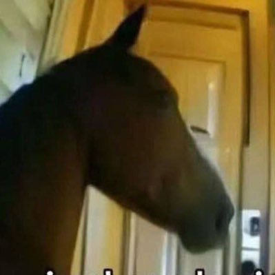 Nigga_Fnf's profile picture. 