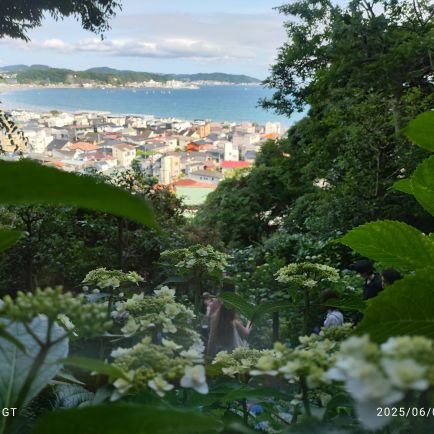 tunosuke2525's profile picture. 