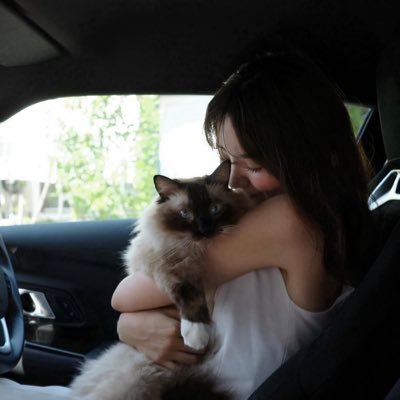 nekoukaru's profile picture. cpa過年度26目🗼会計士受験生