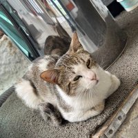 Ramazan Bulut (@ramazan07472532) 's Twitter Profile Photo