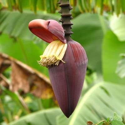 Nayeempk's profile picture. ജീവിതം ഒരു യാത്രയാണ് പക്ഷെ ലക്ഷ്യവും, മാർഗവും ഒരേപോലെ പ്രാധാന്യം കൽപ്പിക്കുന്നു. ഹിമാലയം സാനുക്കളിൽ കുറച്ചു കാലം വിശ്രമം ജീവിതം. ബാക്കി കാലം ആശ്രമത്തിൽ.