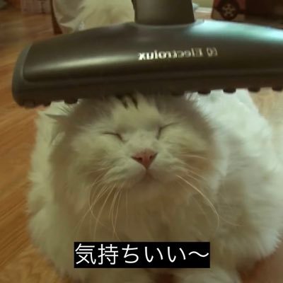 edobomark3's profile picture. とあるツイッタラーならぬポスター