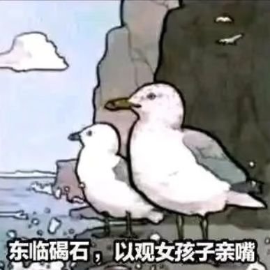 jzycz114514's profile picture. 。